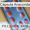 Cápsula Anaconda 06